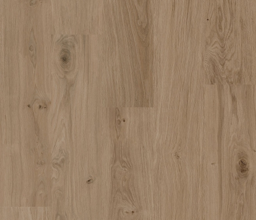 Click - Coretec Authentcs 50 LV 4354