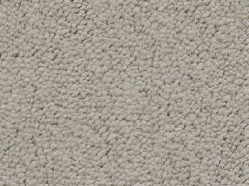 Vorwerk ® - BARISTA - 8K31