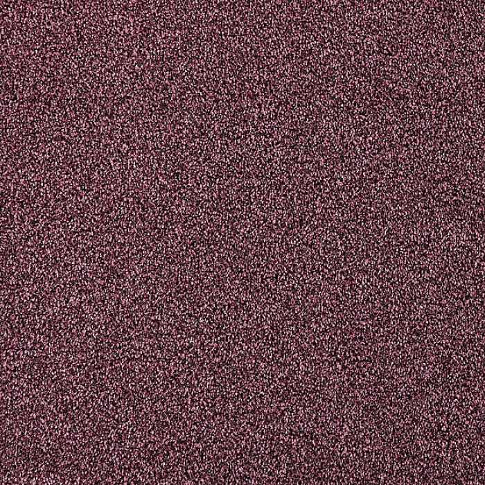 Cascade - Mo - 850