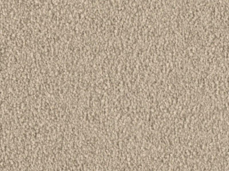 VORWERK ® - VIOLETTA - 8L43
